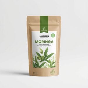 MoriZen